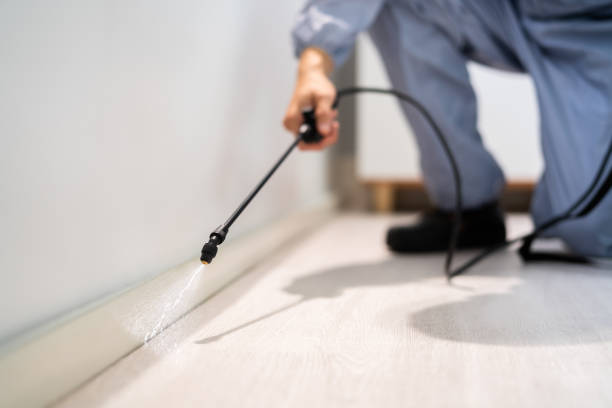 Rodent Entry Point Assessment in Woodbury